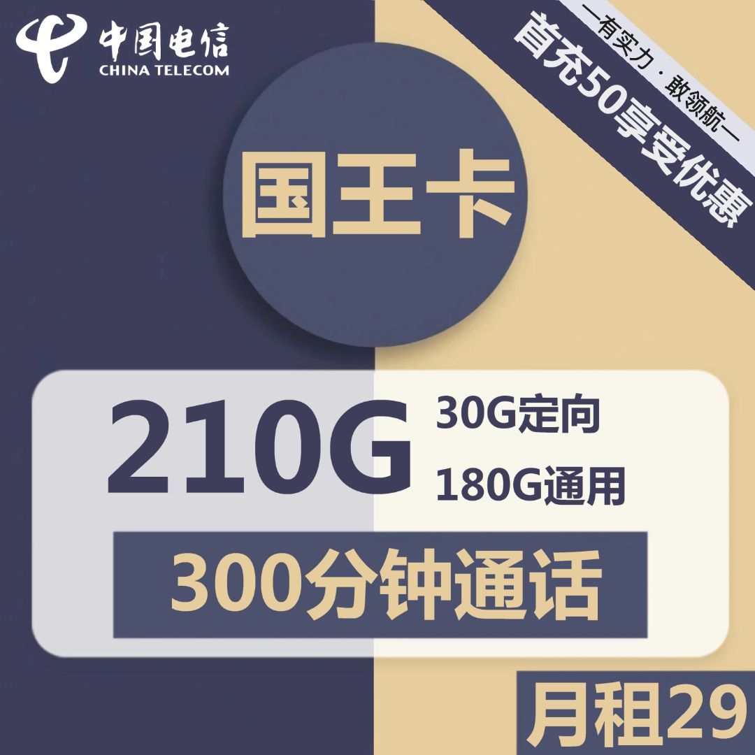 电信国王卡29元包180G通用+30G定向+300分钟通话