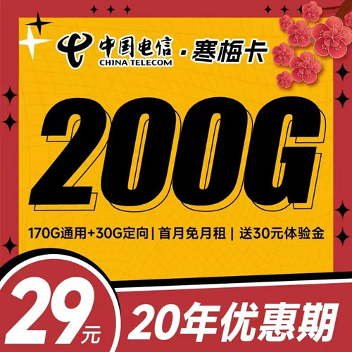 电信寒梅卡29元包170G通用+30G定向+通话0.1元/分钟