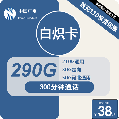 广电白炽卡38元月租包290G通用+300分钟通话