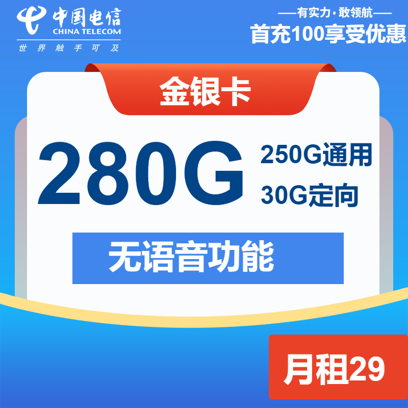 电信金银卡29元月租包250G通用+30G定向+纯流量卡